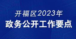 2023年政务公开工作要点