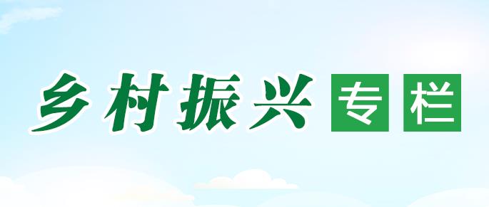 乡村振兴专栏